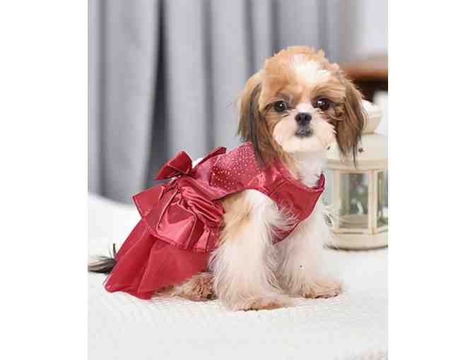 Red Embroidered Princess Dog Dress