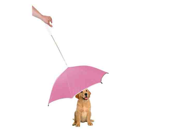 Umbrella for your Dog - Pink