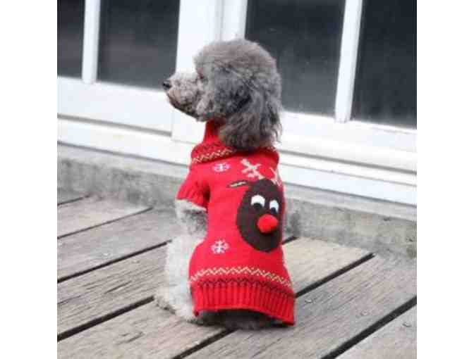 Rudolph Red Nose Reindeer sweater-Red
