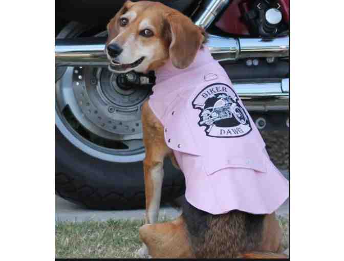Biker Dawg harness jacket - pink Small