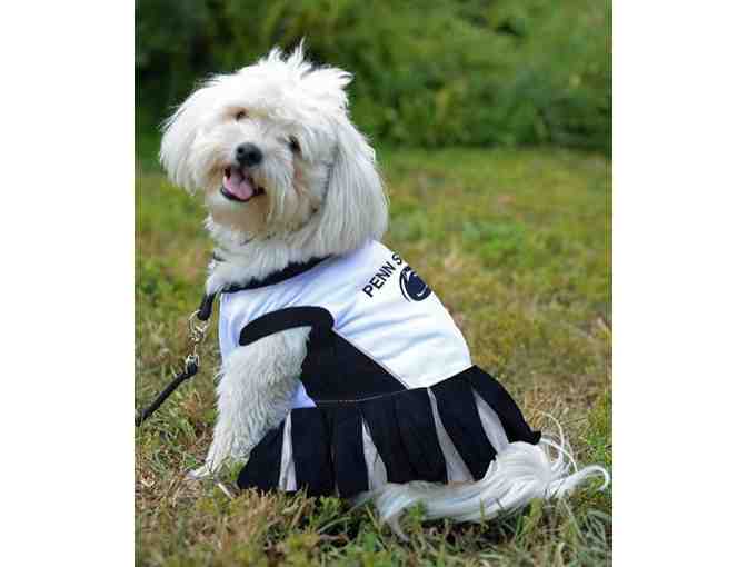 Penn State dog Cheerleader Dress size M