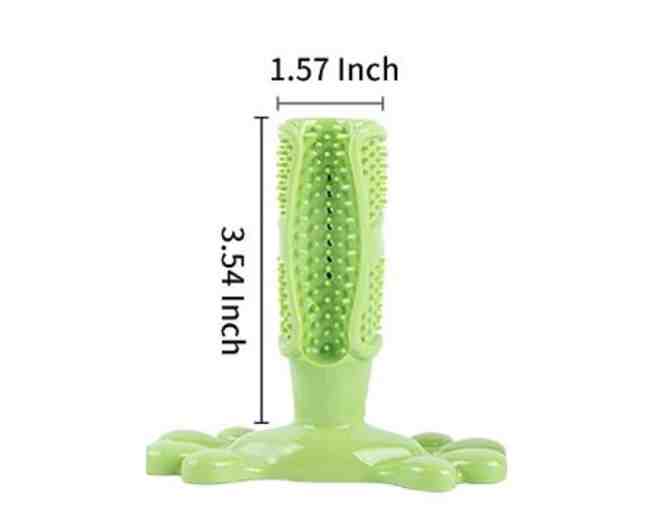 Green Toothbrush dog toy