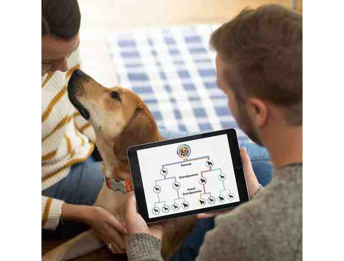 Embark - Dog DNA Test - Breed & Health