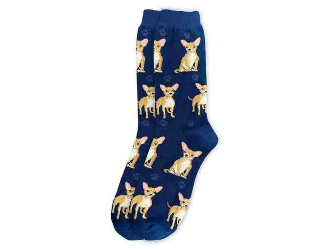 Blue Chihuahua Socks