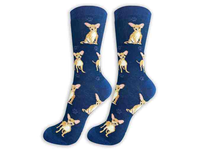 Blue Chihuahua Socks