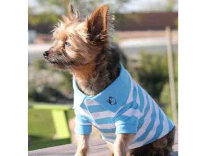 Blue and White striped Polo Size - M