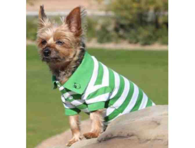 Green and White striped Polo Size - M