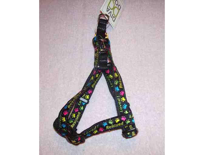 Black Step in Harness - XSmall