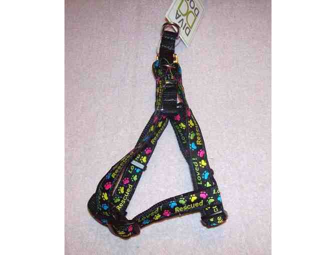 Black Step in Harness - Small