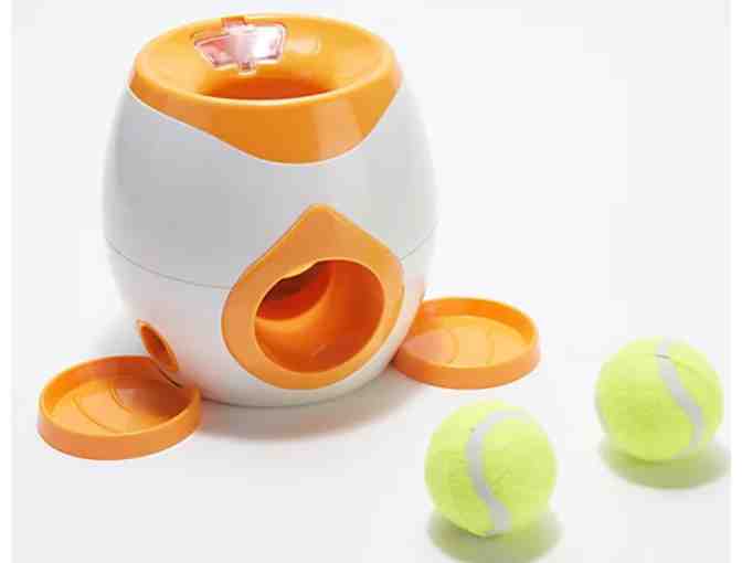 Playful Paws Fetch & Treat toy