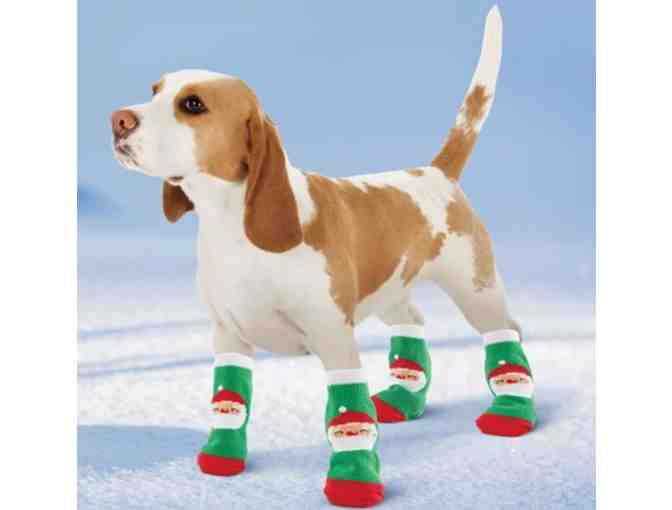 Santa Pet Socks - Medium