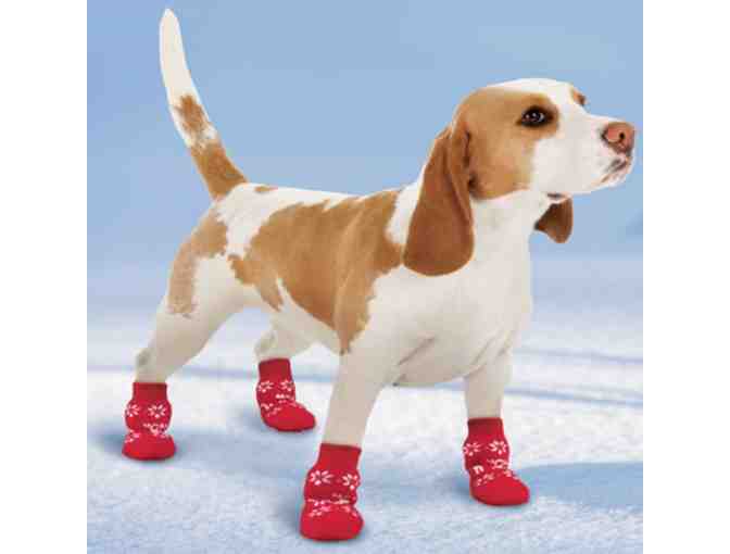 Snowflake and Reindeer Pet Socks - Medium