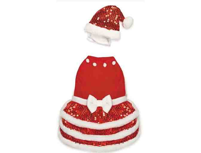Zack and Zoey brand Red Velvet Christmas Dress and hat - size S/M