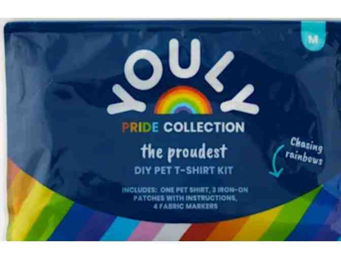 DIY Pride Tshirt - Med