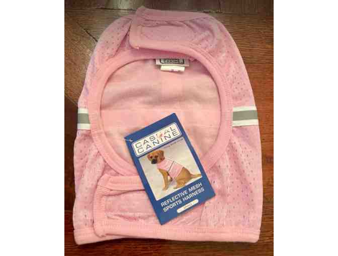 Reflective mesh sport harness