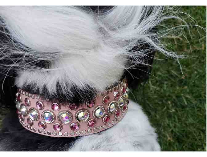 Diva Dog Collar - Swarovski Crystals