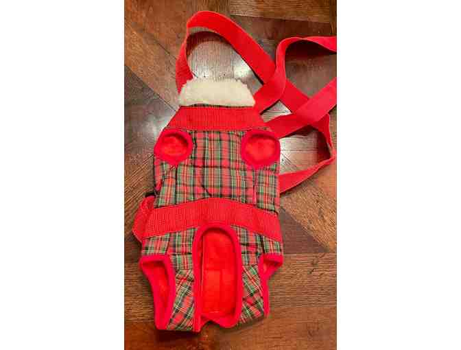 Front Kangaroo pouch dog carrier