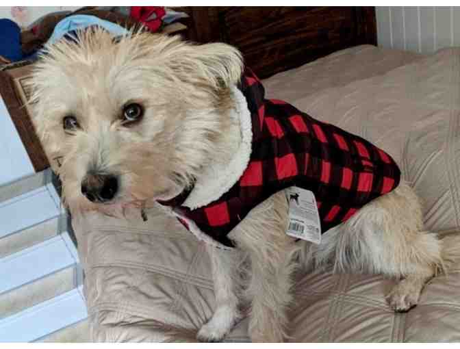 Black and Red Plaid Dog Coat size Medium