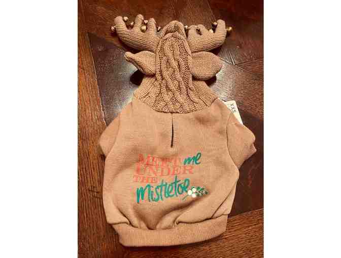 Santa's Reindeer Sweater - size XXS