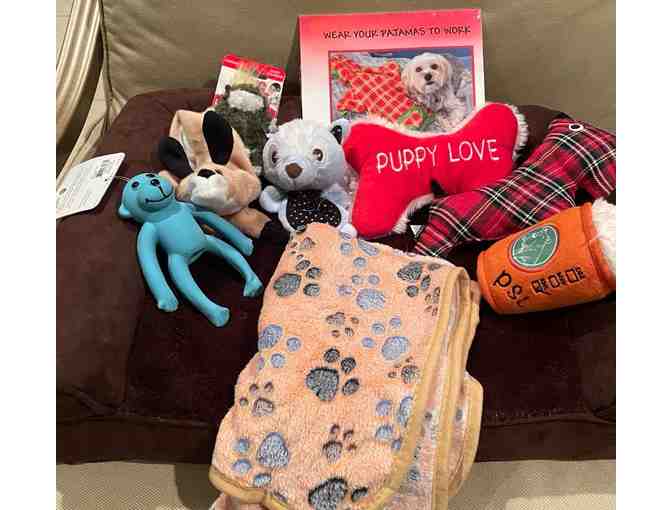 Dog Toys, Blanket and Bed