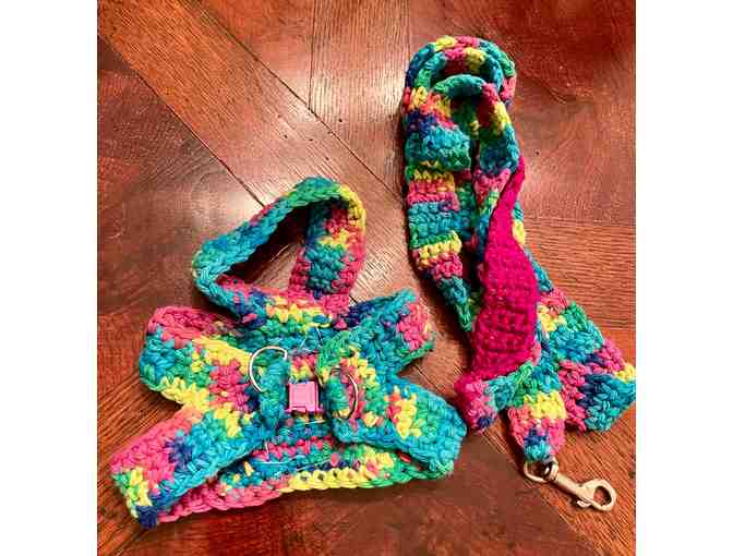 Hand Knit Harness and Leash