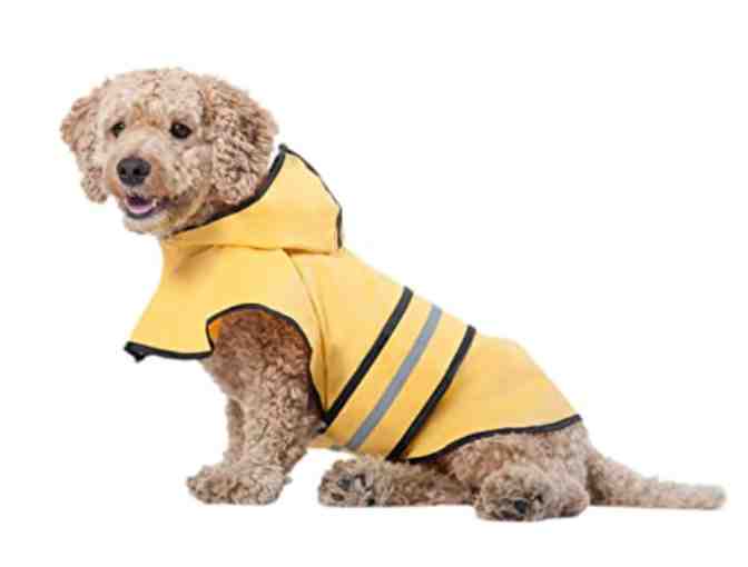 Fashion pet Raincoat - Medium
