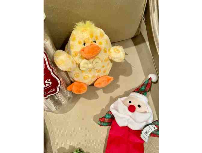 Dog Toys and Blanket plus pretzels