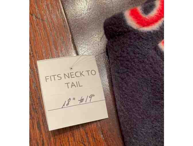 Boston Red Socks Fleece - neck to tail 18'