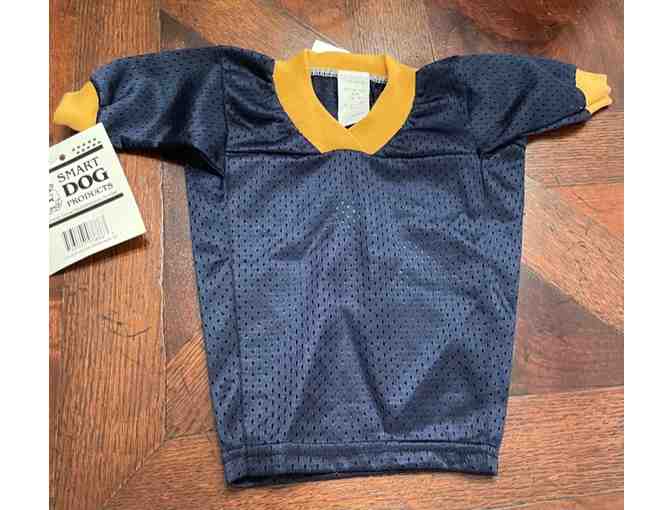 Notre Dame Fighting Irish Jersey - Size Medium