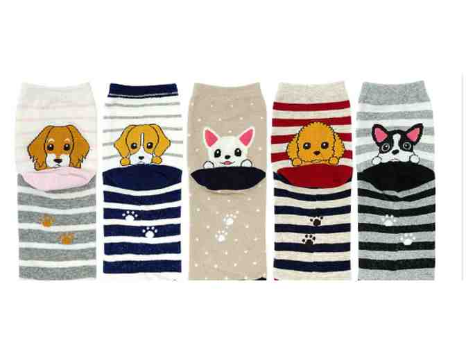 Cartoon puppy socks for adults - 5 pairs
