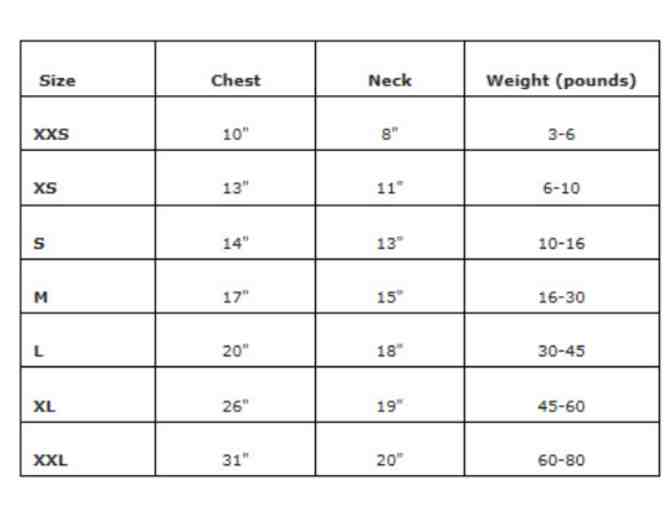 Designer Pink Wool Coat and leash - Medium