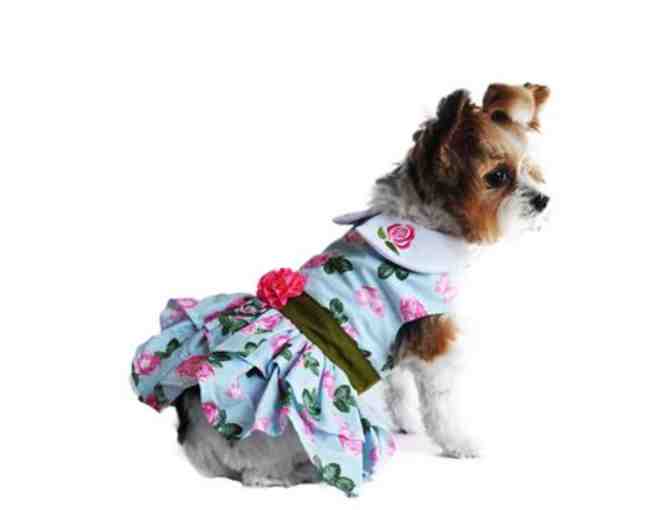 Pink Rose Dress and Leash - Small