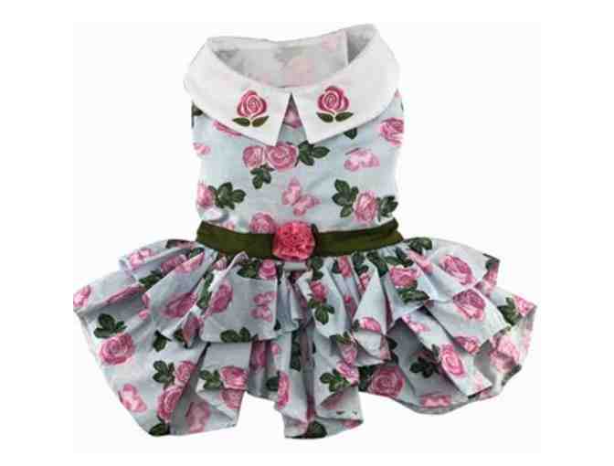 Pink Rose Dress and Leash - Medium