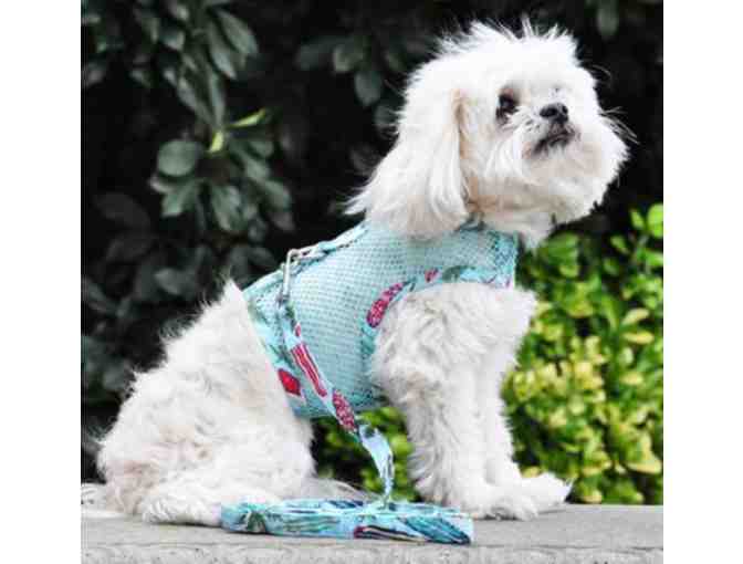 Surf Board and Palm Trees harness with Leash - Medium