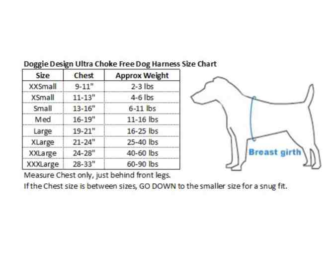 Tuxedo Harness with 4 bows - Medium