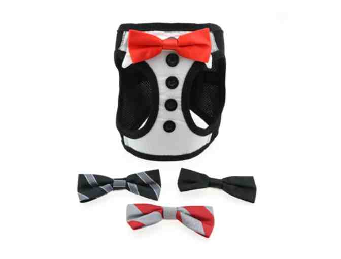 Tuxedo Harness with 4 bows - Small