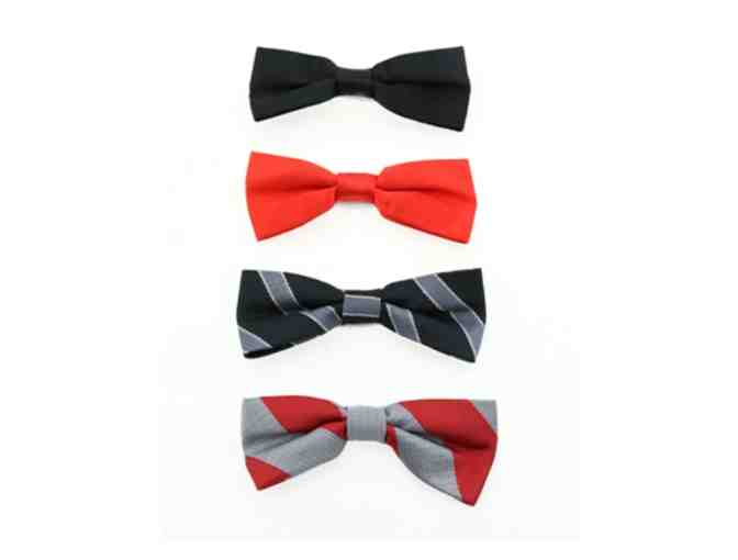 Tuxedo Harness with 4 bows - Small