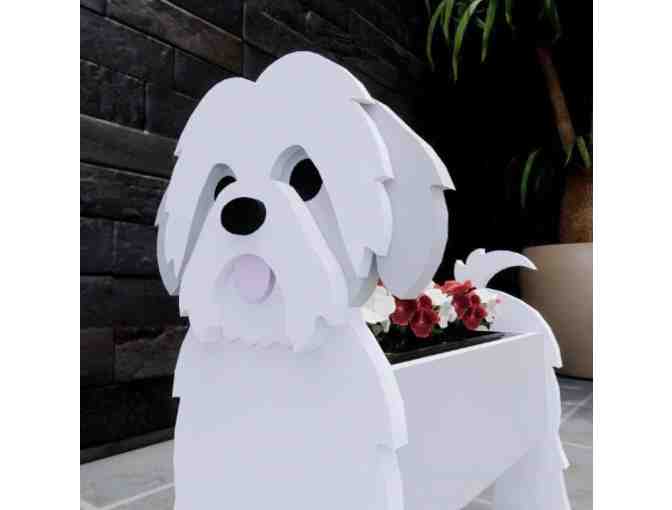 Shih Tzu Indoor/Outdoor planter