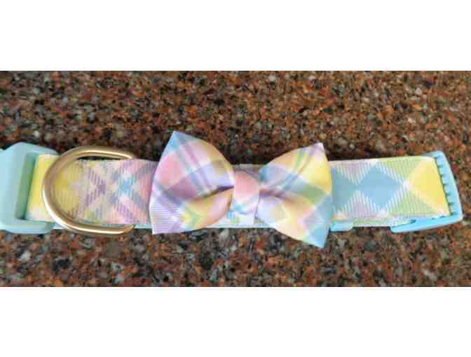 Pastel Dog Collar - size small