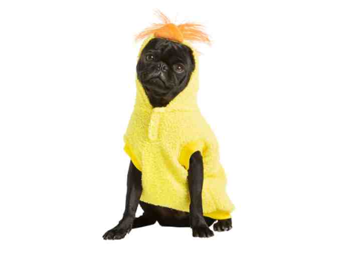 Chick Dog Hoodie - Size M