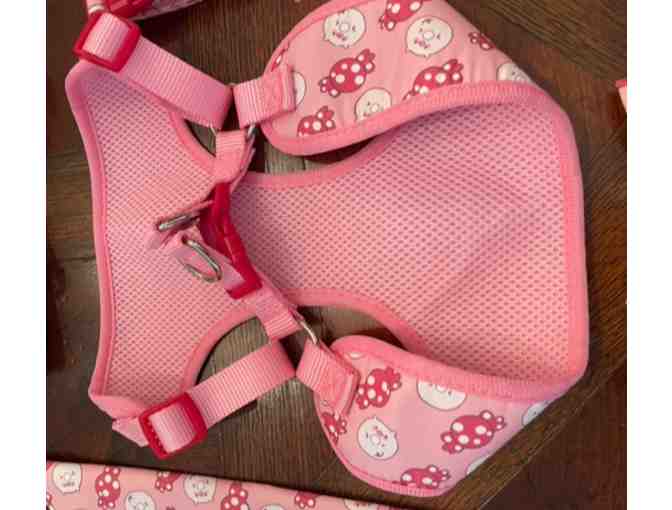 Piggie Pink Harness and leash set - size large