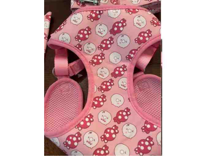 Piggie Pink Harness and leash set - size large