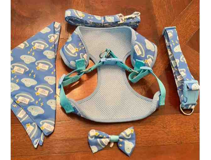 Blue spaceship Harness and leash set - size large