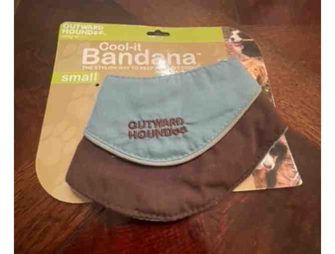 Cool It Bandana - small