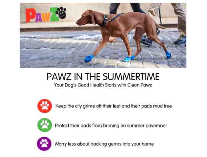 Set of 12 Rubber Booties from PAWZ