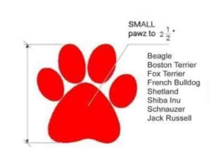 Set of 12 Rubber Booties from PAWZ