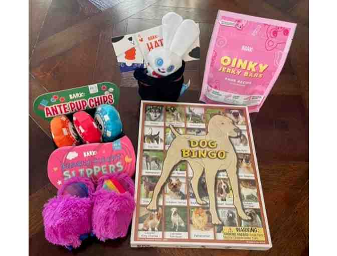 Game Night Package with Dog Bingo and More - Photo 1