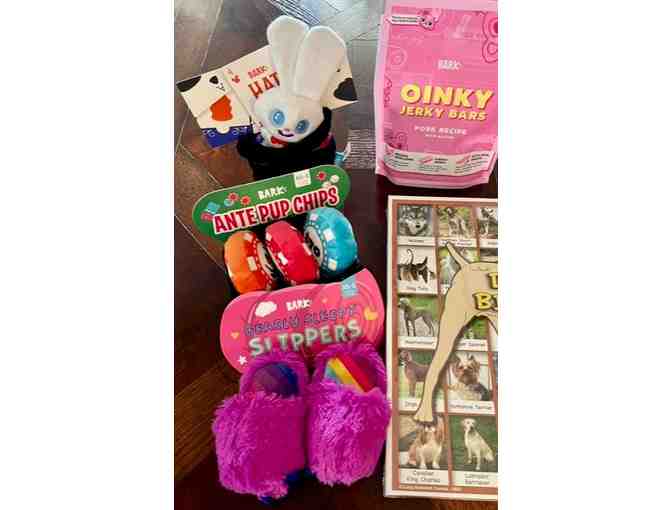 Game Night Package with Dog Bingo and More