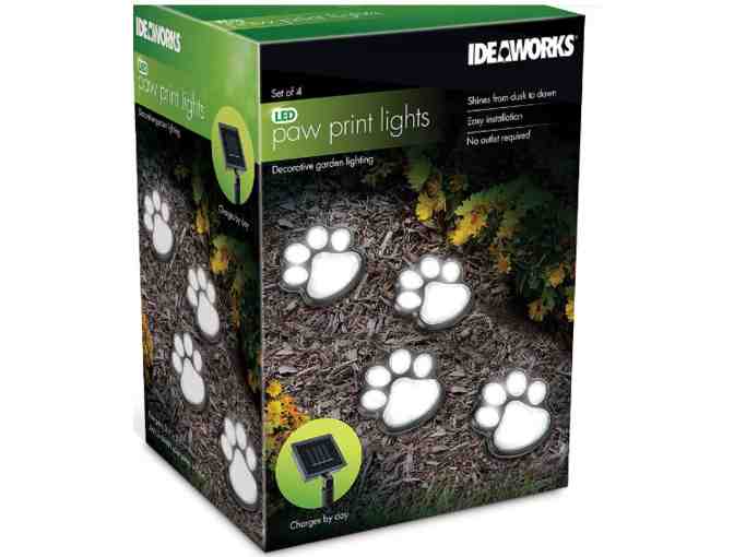 Paw Print Solar Lights