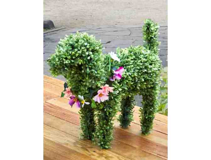 Artificial Boxwood Dog for all Seasons
